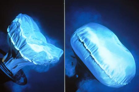Airbag