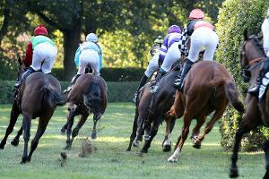 Irischer Jockey stirbt nach Sturz
