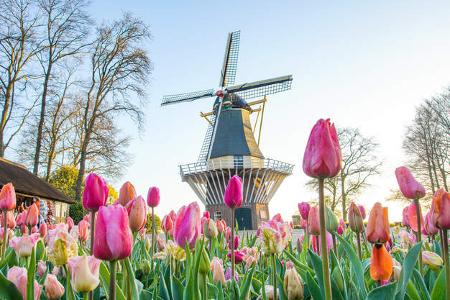 Reis Tipps Maerz Tulpen