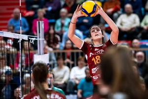 Volleyball: Potsdam verpasst Finale im Challenge Cup
