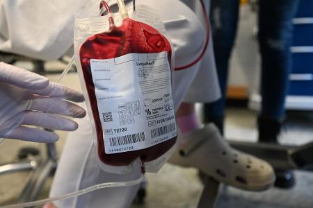 Tendenziell nehmen Bluttransfusionen bei Hunden zu, weil Besitzer bereit sind, teils auch viel Geld zu bezahlen. 