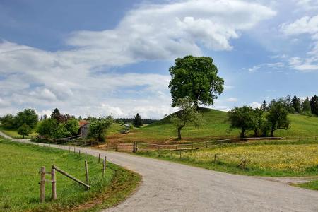 Straße