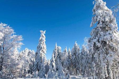 Winterlandschaft
