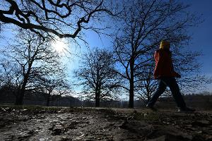 Der Winter war mild, trocken und sonnig