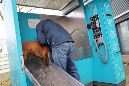 Bei ZooRoyal gibt es unter anderem Hundewaschstationen.