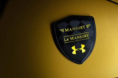 Ford GT Mansory x Under Armour Le Mansory