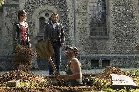 Platz 10: Der treue Roy (2016)