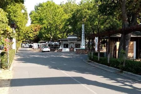 Campingplatz am Rhein