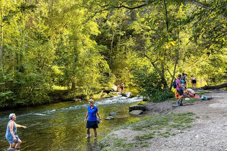 Elsass Weinstrasse f