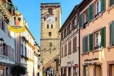 Elsass Weinstrasse f