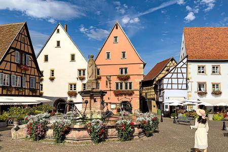 Elsass Weinstrasse f