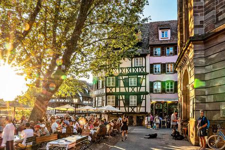 Elsass Weinstrasse f