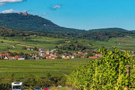 Elsass Weinstrasse f