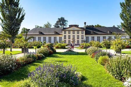 Elsass Weinstrasse f