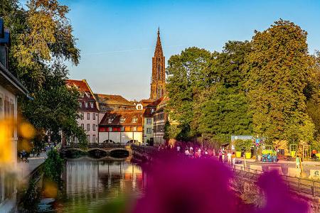 Elsass Weinstrasse f