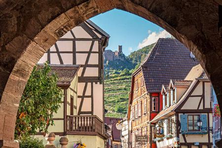 Elsass Weinstrasse f