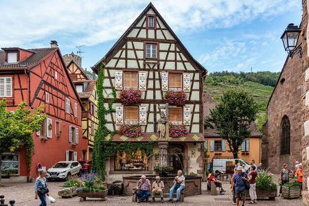 Elsass Weinstrasse f