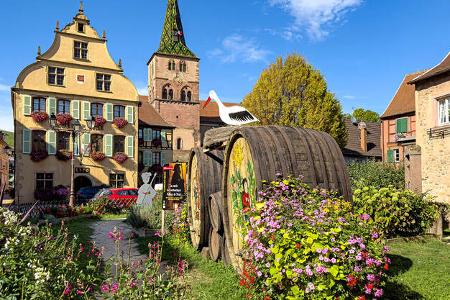 Elsass Weinstrasse f