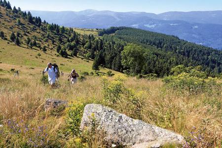 Reise-Tipp: Südliches Elsass