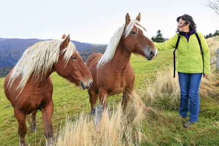 Reise-Tipp: Südliches Elsass