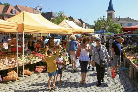 Reise-Tipp: Südliches Elsass