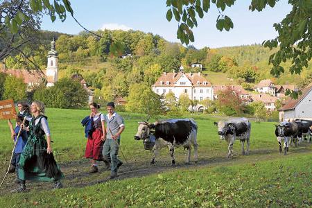 Reise-Tipp: Südliches Elsass