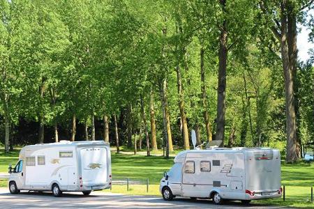 Telgte: Hohe Bäume und frisches Grün umranden den Stellplatz.
