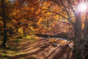 Die schönsten Wandertouren im Oktober