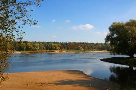 Herbstziel: Biosphärenreservat Mittlere Elbe