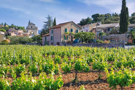 Stellplaetze Provence Bedoin f
