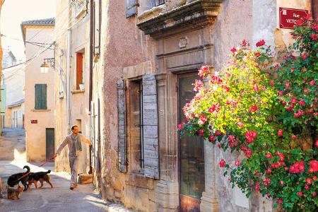 Stellplaetze Provence Mazan f