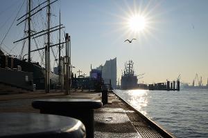 Sonnig und warm: Tolles Frühlingswetter am Wochenende