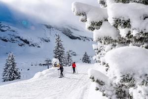 Die schneesichere Skiregion Engelberg-Titlis