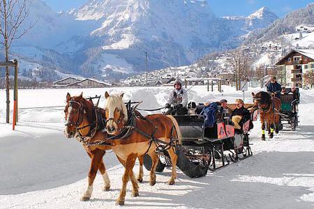 Pferdekutsche, Menschen, Schnee, HŠuser, BŠume, Berge