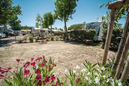 Campingplatz, Blumen, BŠume, Caravans, Himmel