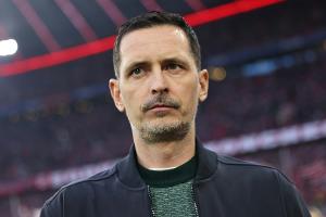 Toppmöller nüchtern: "Von uns fliegt keiner aus dem Stadion"