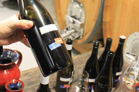 Burgenland Reise Wein f