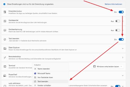 Das Bild zeigt die aktivierten Entwickleroptionen in Windows 11, darunter Entwicklermodus und 