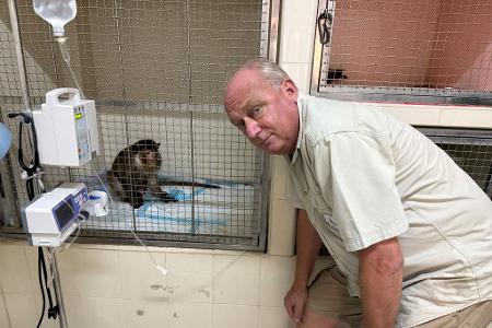 WFFT-Gründer Edwin Wiek besucht einen der Patienten im Wildlife Hospital. Der Affe hatte einen Stromschlag erlitten.
