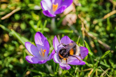Das Wochenende bringt milde Temperaturen und viel Sonnenschein. Das Wochenende bringt milde Temperaturen und viel Sonnenschein.