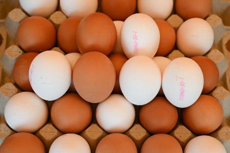 Derzeit in den USA ein rares Gut: Eier.