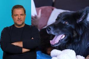 Studentin überlegt, ihren Hund abzugeben - Martin Rütter versteht's: "Gibt Gründe, warum ihn keiner haben wollte"