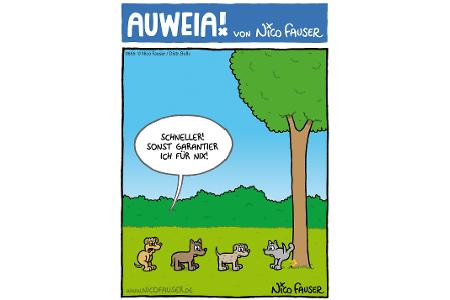 Alltäglicher Humor und Vögel