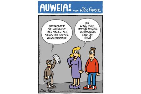 Alltäglicher Humor und Vögel