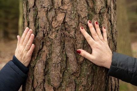 Einfach mal anfassen und berühren: So verbindet man sich mit der Natur.
