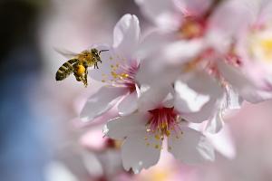 Wechselhaftes Wochenende und Wettermix zum Wochenstart