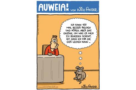 Alltäglicher Humor und Vögel