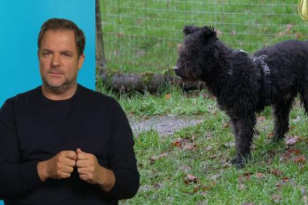 Die Unvermittelbaren - mit Martin Rütter