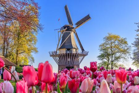 Keukenhof, Lisse