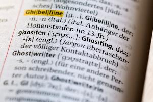 "Ghosting" wird für Anbieter von Lehrstellen zum Problem